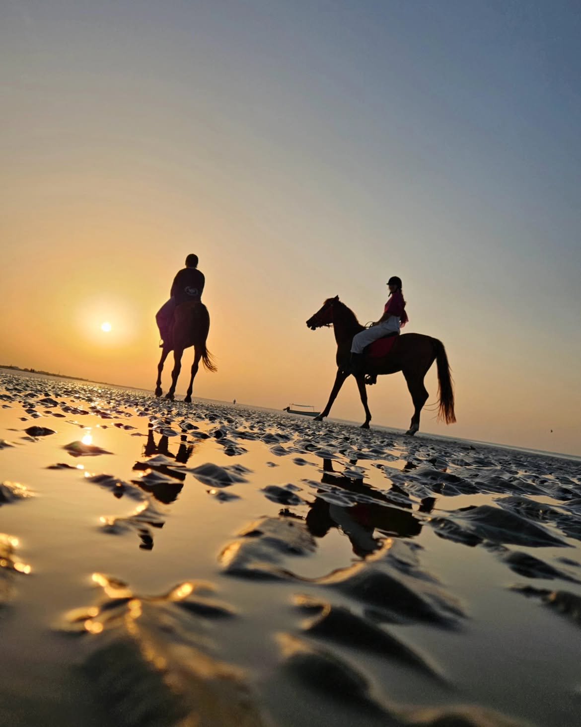 🤍🐎❤️Sunset beach ride Muscat Horseback Riding near me beach horse riding oman 968 9560028 2